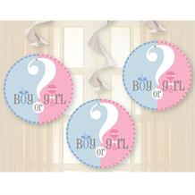 Gender Reveal Baby Shower Party Hanging Swirl Decorations