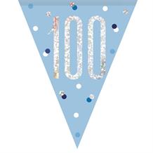 Blue and Silver 100th Birthday Bunting | Party Save Smile