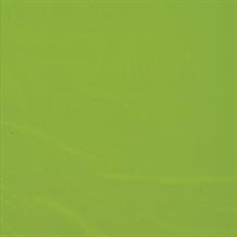 Neon Green Party Tablecover | Tablecloth
