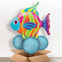 Tropical Fish Giant Balloon in a Box Gift
