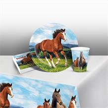 Horse and Pony Happy Birthday Party 8 to 48 Guest Starter Party Pack - Tablecover | Cups | Plates | Napkins