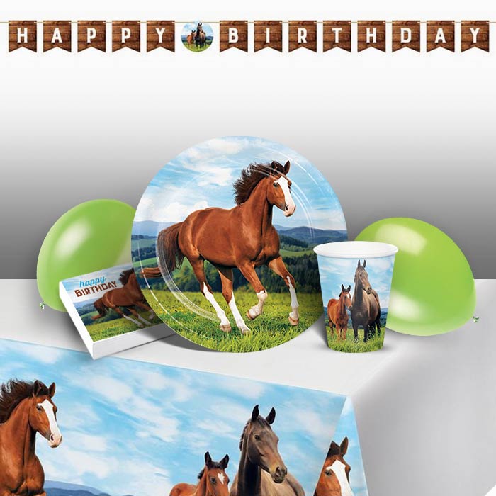 Horse and Pony Happy Birthday Party 8 to 48 Guest Premium Party Pack - Tableware | Balloons | Decoration