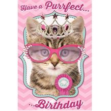 Cat Kitten ’Have a Purrfect Birthday’ Greeting Card