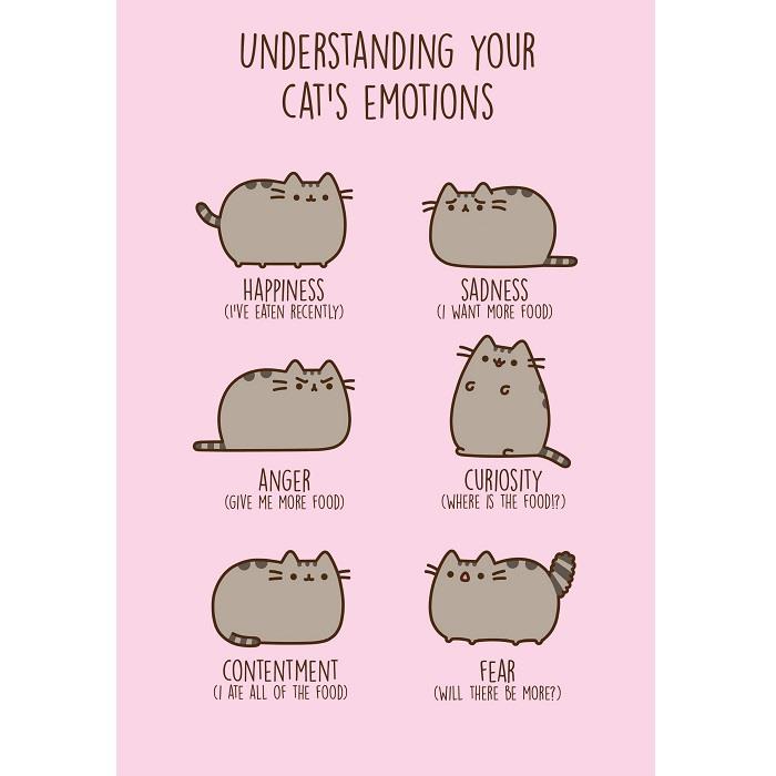 Pusheen the Cat - How To Have a Perfect Birthday - Blank Birthday Card