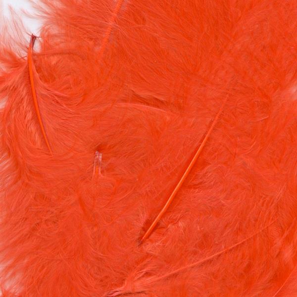 Red Feathers for Craft (8 grams)