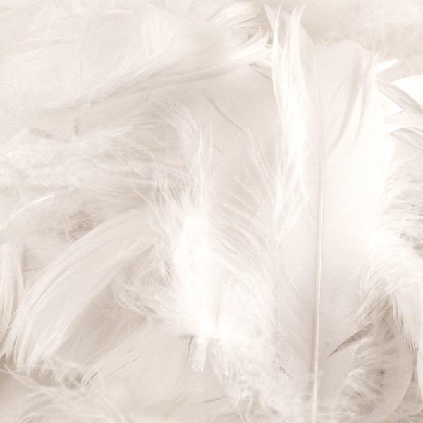 White Craft Feathers (50 grams)