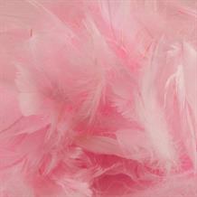 Baby Pink Eleganza Decorative Craft Feathers 50g
