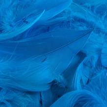 Turquoise Eleganza Decorative Craft Feathers 50g