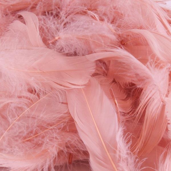 Rose Gold Craft Feathers (50 grams)