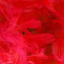 Red Eleganza Decorative Craft Feathers 50g
