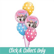 Kittens Happy Birthday Inflated 5 Balloon Bouquet