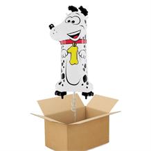 Zooloons Dog | Dalmatian Giant Number 1 Balloon in a Box Gift