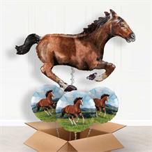 Dark Brown Horse Giant Shaped Balloon in a Box Gift