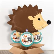 Hedgehog Giant Balloon in a Box Gift