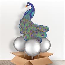Peacock Glitter Giant Shaped Balloon in a Box Gift