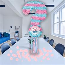 Gender Reveal Baby Shower Pinata Party Kit with Favours and Pink Confetti