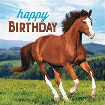 Horse and Pony Happy Birthday Party Napkins | Serviettes