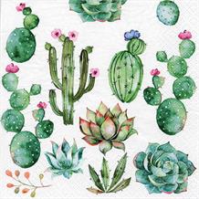 Cactus Napkins 3 ply | Succulent Napkins | Party Save Smile