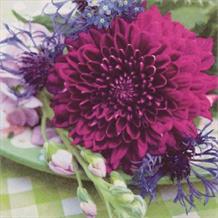 Dahlia and Cornflower | Flowers Party Napkins | Serviettes