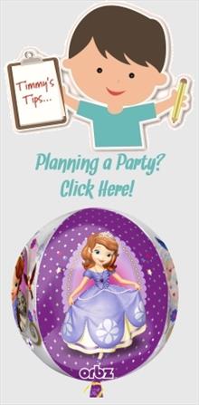 Sofia the First Party
